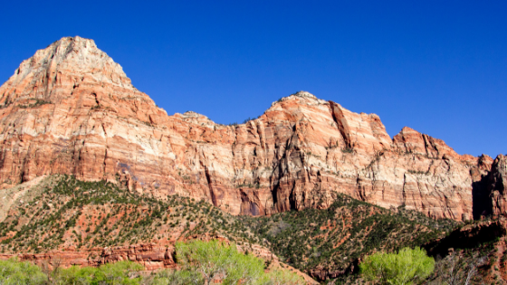 Walk on the Wildside: US Wildlife Viewing Areas
