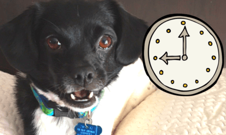 Does time go by slower for your dog?