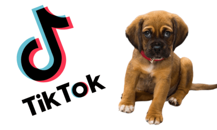 TikTok Cute Puppy Compilation #1
