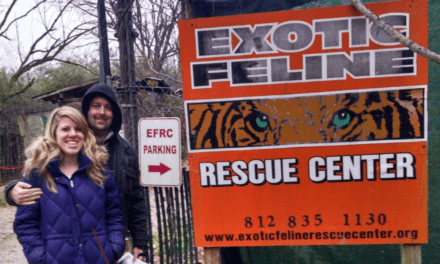 THE EXOTIC FELINE RESCUE CENTER