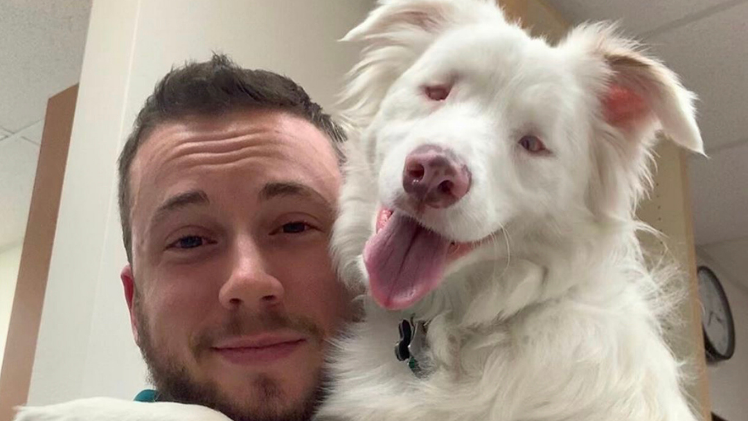 This deaf and blind dog will warm your heart - CRITTERFACTS