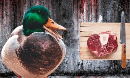 Meat-eating ducks can be found on this remote island