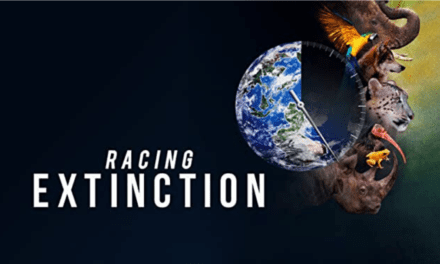 Racing Extinction: An inspiring and eye opening film