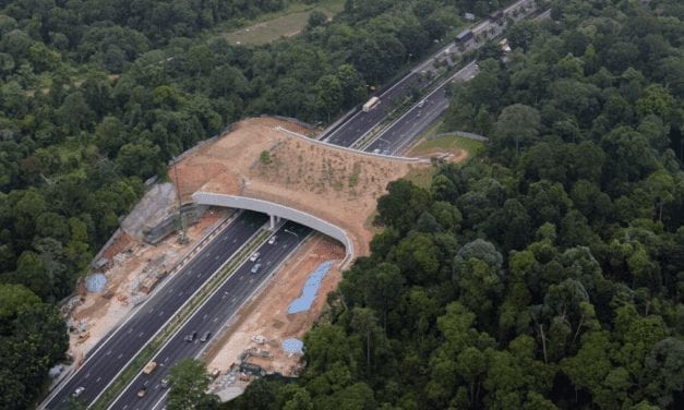 Wildlife corridors are key to unlocking new habitats