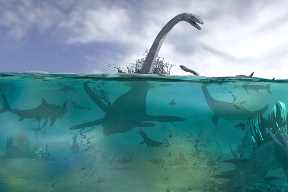 Liopleurodon | CRITTERFACTS