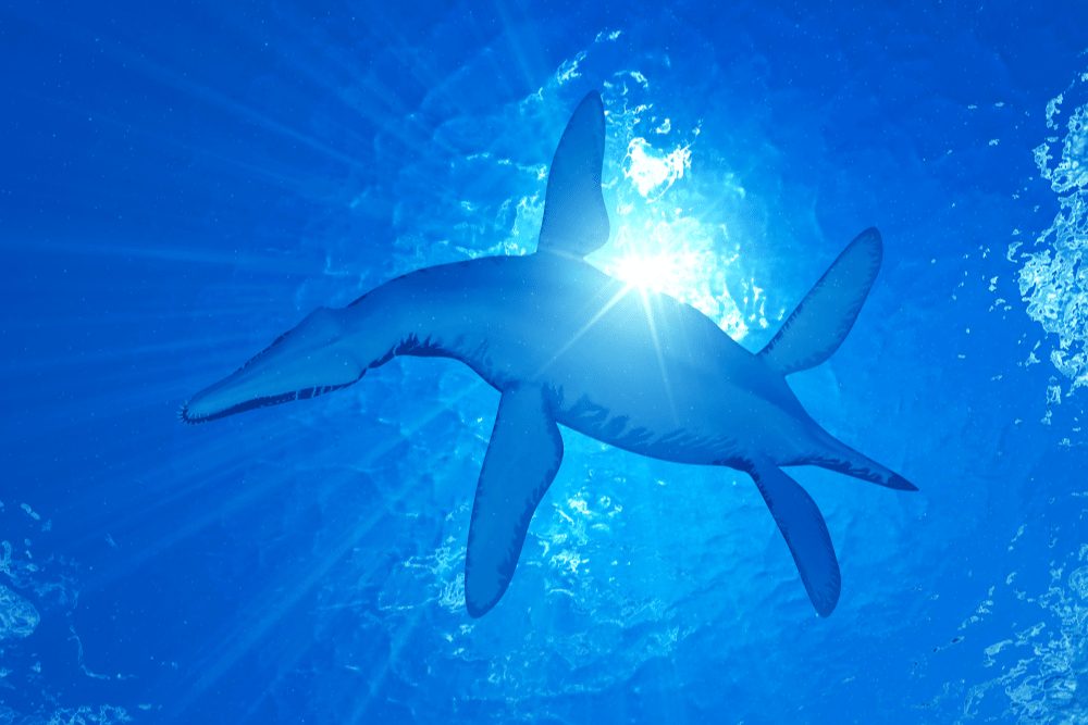 3d rendered illustration of a Liopleurodon underneath