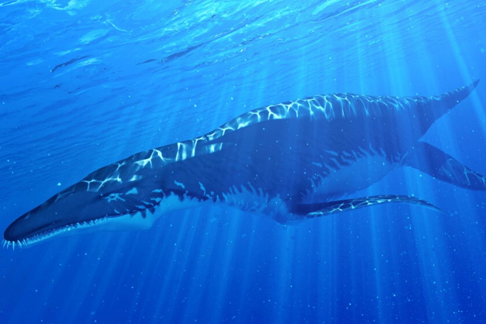 3d rendered illustration of a Liopleurodon