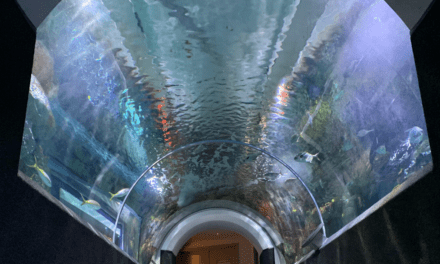 Behind the scenes, a day in the life of an aquarist