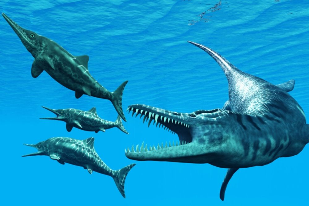 Liopleurodon | CRITTERFACTS