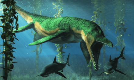 Liopleurodon