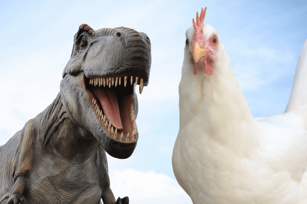 chickens and trex