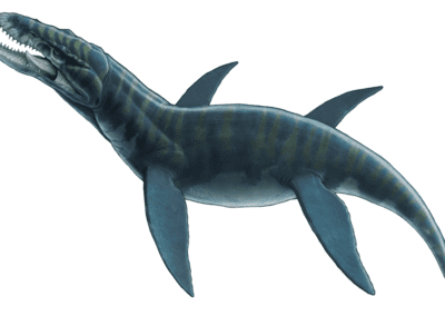 illustration of liopleurodon dinosaur on white background