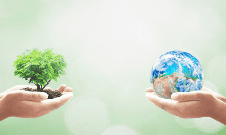 Healing the wounded earth