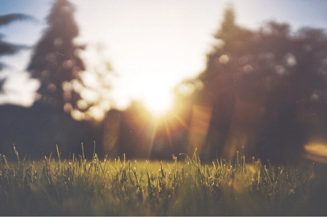 blurred sunset