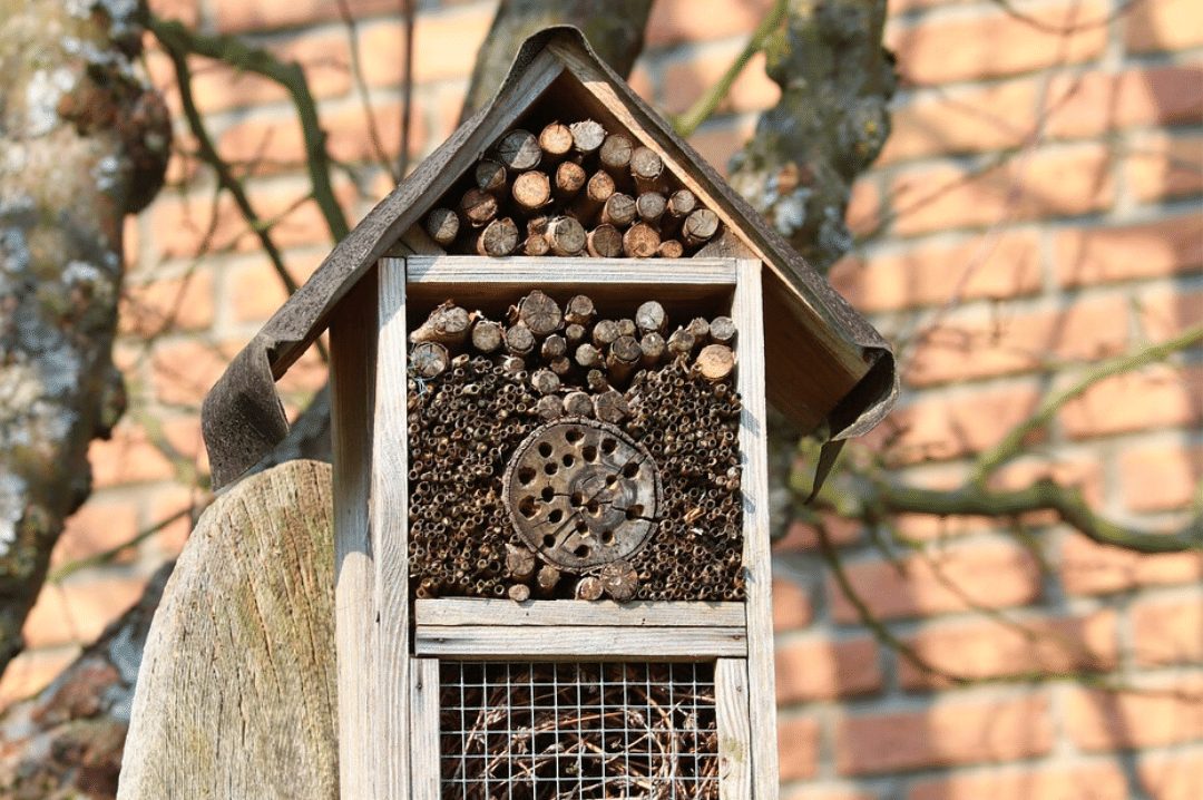 insect hotel with brick home in the background