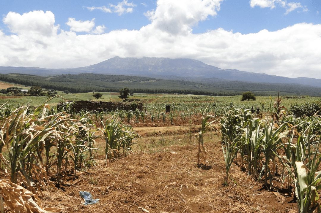 Farming around the Amboseli National Park in southern Kenya