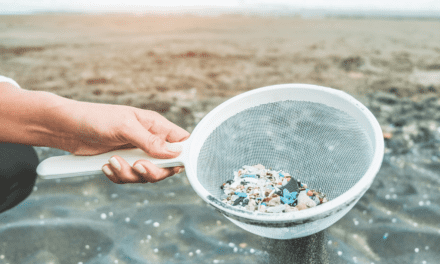 5 Ways To Reduce Your Microplastic Footprint At Home