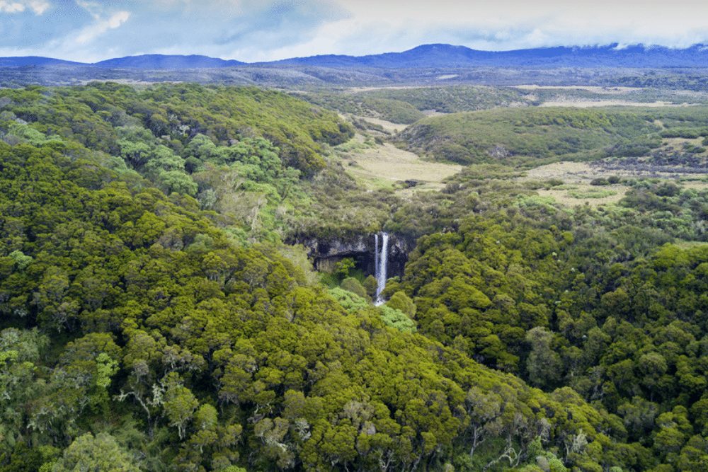 Aerial drone photo of mountain waterfall in Aberdares National Park, Kenya