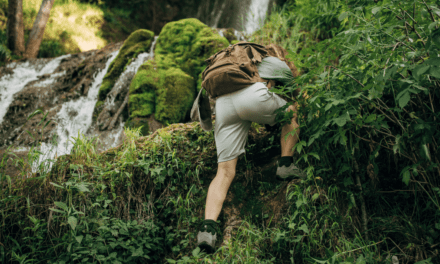 My First Wildlife Field Position and What it Taught Me