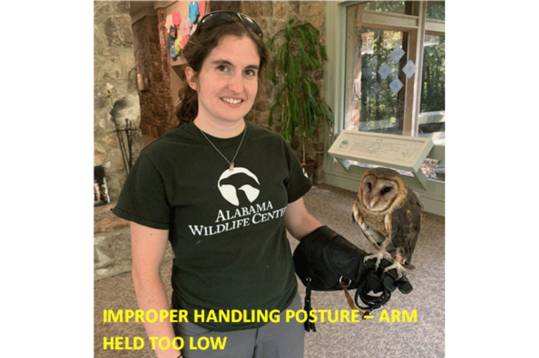 Emily Stauss Improper Handling Posture Arm too Low