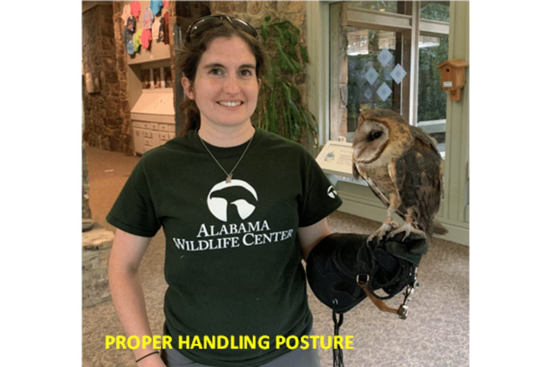 Emily Stauss Proper Handling Posture