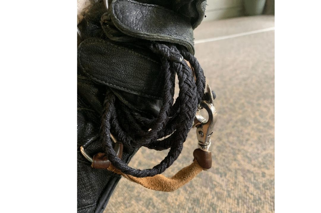 falconry glove clipped to a swivel