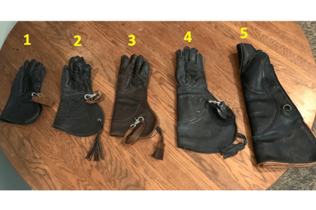 types of falconry gear gloves