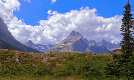 Biodiversity Hotspots Vs Wilderness Areas