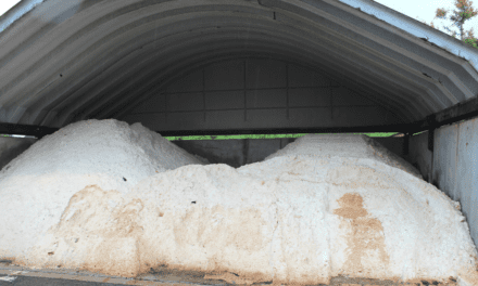 The environmental concern of road salt