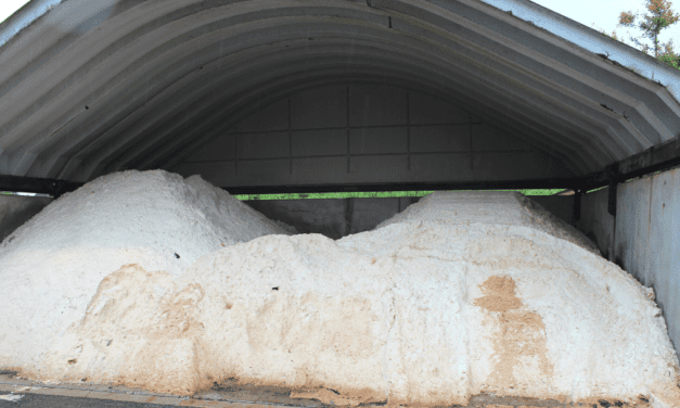 The environmental concern of road salt