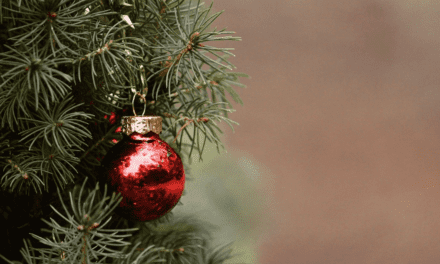 WHAT IS THE DEAL WITH CHRISTMAS TREES?