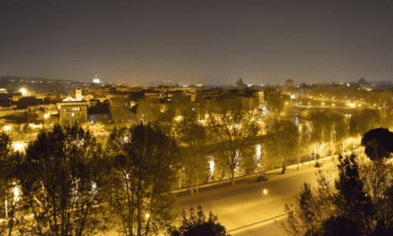 Could a Brighter Night Mean a Darker Future for Animals