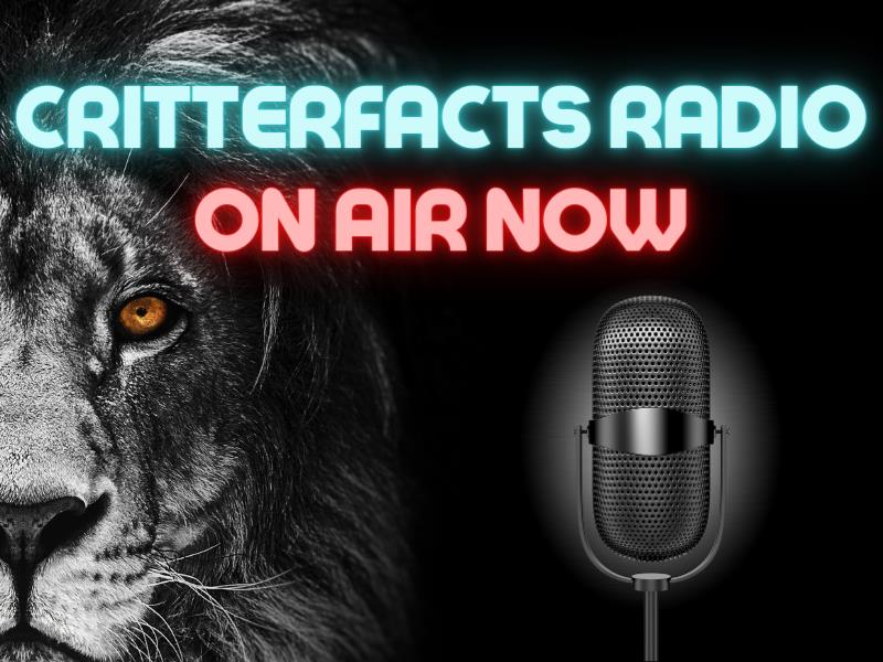 [Image: CritterFacts-Radio-Image.jpg]