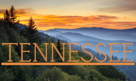 5 Poisonous Plants to Avoid While Hiking in Tennessee