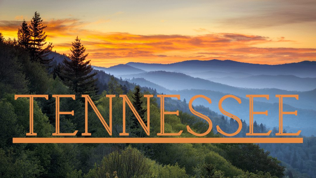 5 Poisonous Plants to Avoid While Hiking in Tennessee