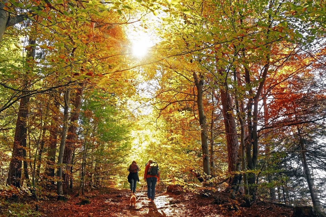 Hiking