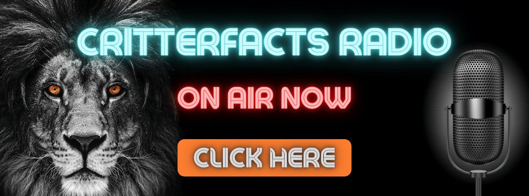CritterFacts Radio