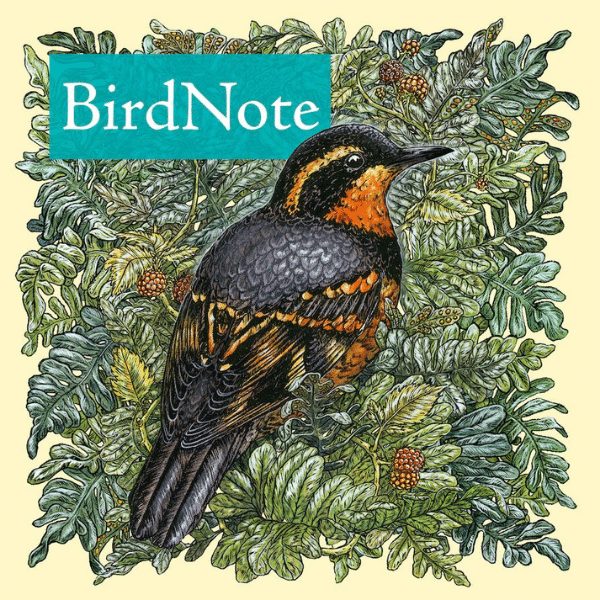 Bird Note Graphic