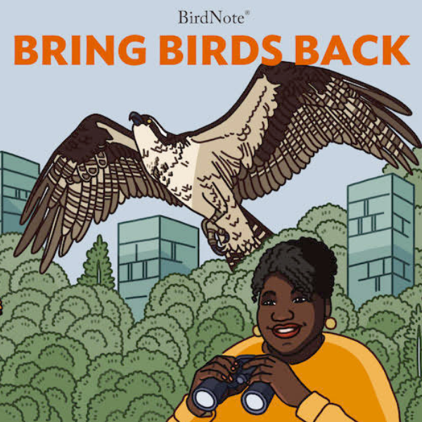 Brings Birds Back Artwork