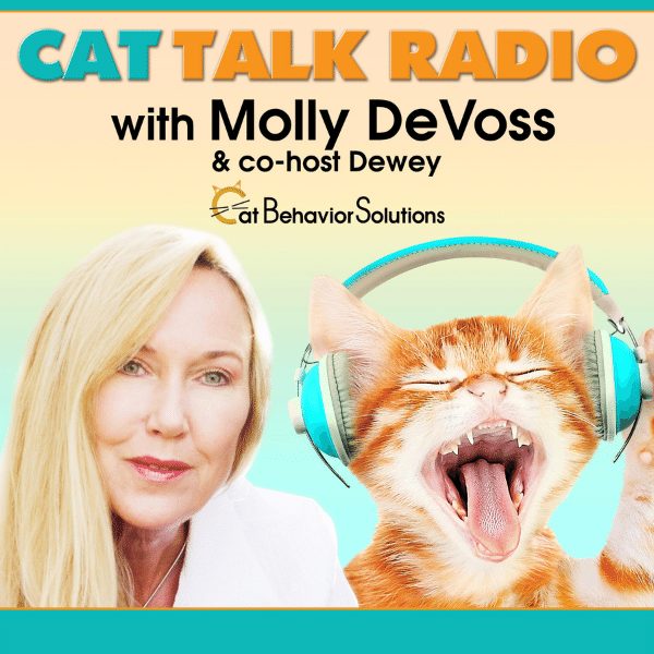 All Creatures Podcast