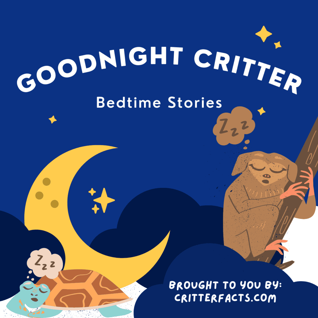 Goodnight Critter | CRITTERFACTS