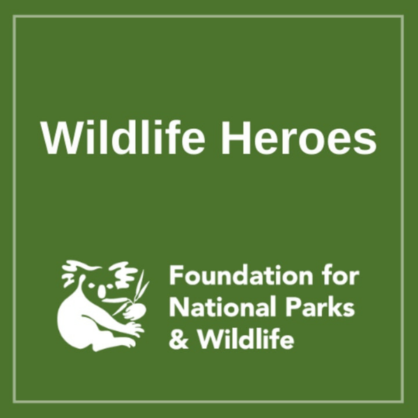 Wildlife Heroes - CRITTERFACTS