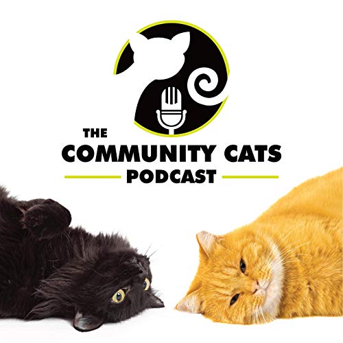 Climate Bridges Podcast