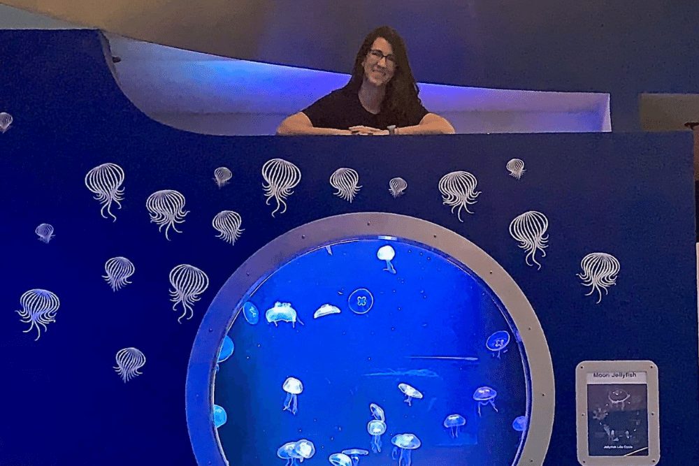Dani Jensen Jellyfish Exhibit