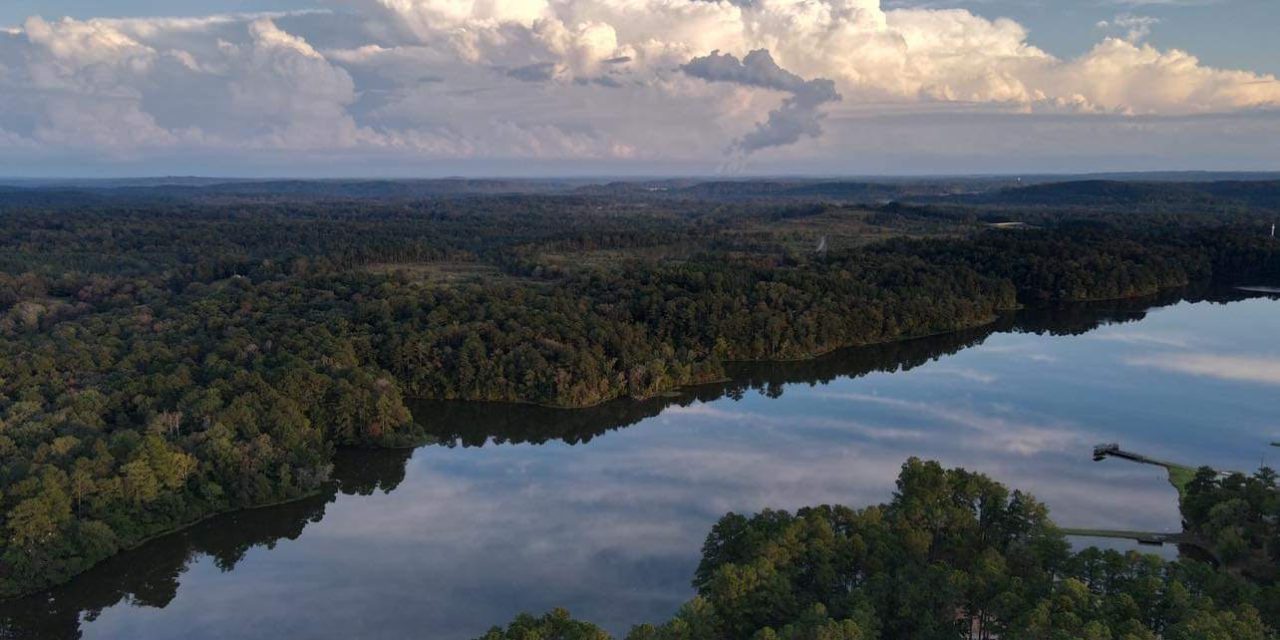 The Amazon Hidden in Alabama