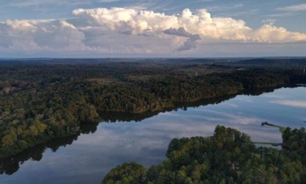 The Amazon Hidden in Alabama
