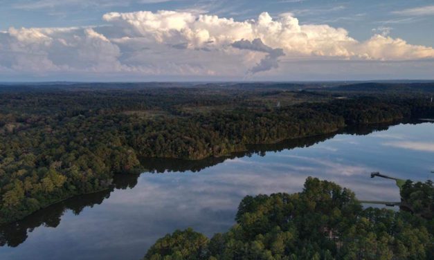 The Amazon Hidden in Alabama