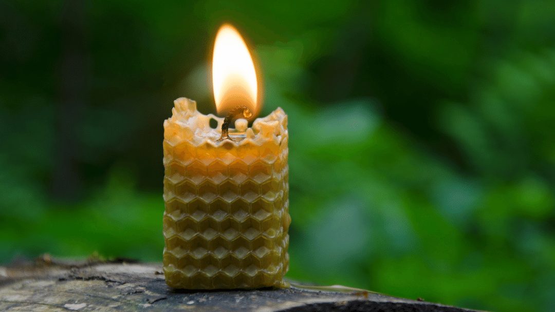 Why Beeswax Makes the Best Candles