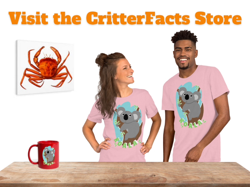 Visit the CritterFacts Store