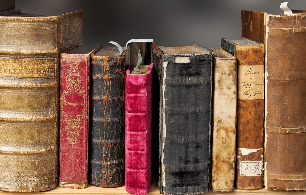 Life Inside of a Book